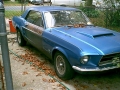 mustang22