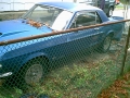 mustang24