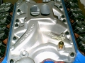 mustang33