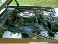 as21